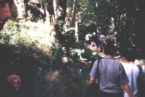 اکوتوریسم و توانمندسازی جوامع محلی